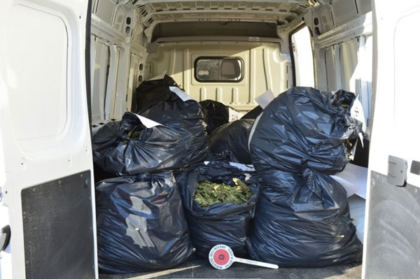 In casa con 106 chili di marijuana in sacchetti dell’immondizia, 4 arresti a Crotone 