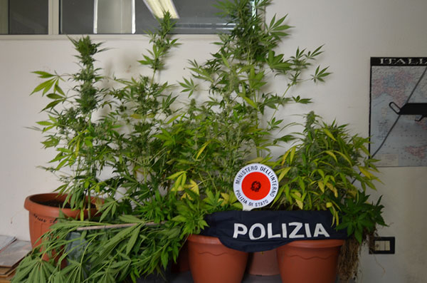 Calabria: cameriere con droga in casa, arrestato 