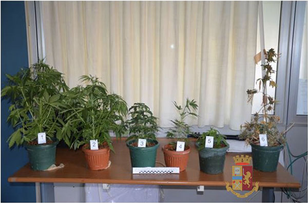 Spaccio di sostanze stupefacenti, arrestato 44enne a Catanzaro