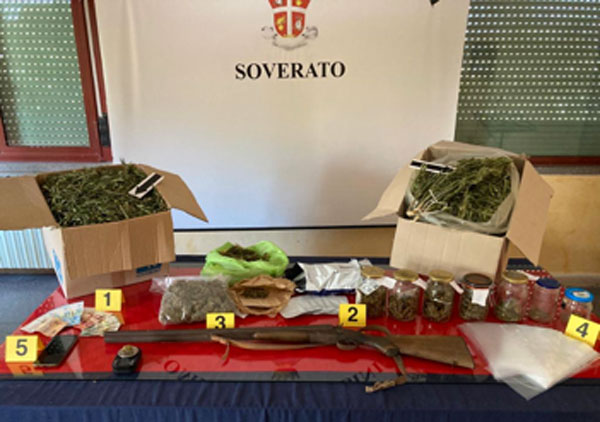 Cinque chili di marijuana in casa e 24 piante di cannabis in giardino, arrestato 27enne a Davoli