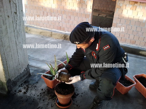 droga-dentro-vaso-carabinieri.jpg