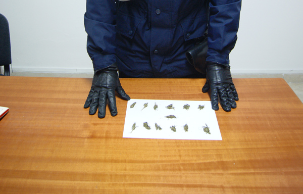 Calabria: Nascondeva droga sotto il cuscino, arrestato 24enne