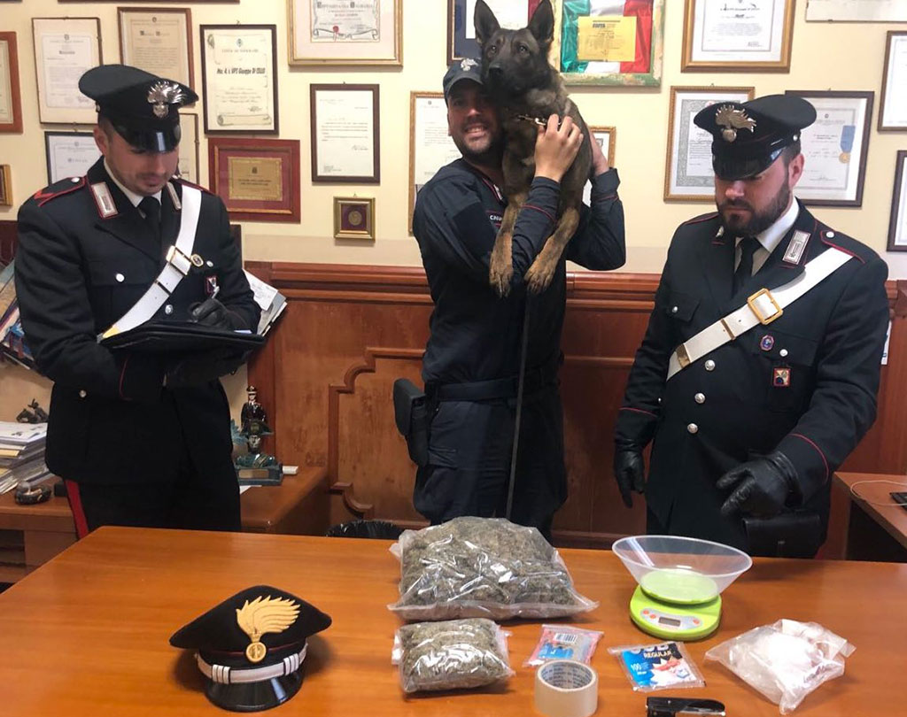 Carabinieri trovano droga nascosta in appartamento disabitato nel reggino, sequestrata
