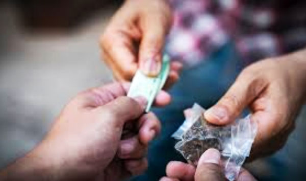 Operazione "Festa in maschera" contro traffico di droga tra Calabria e Sicilia: 8 condanne in Appello