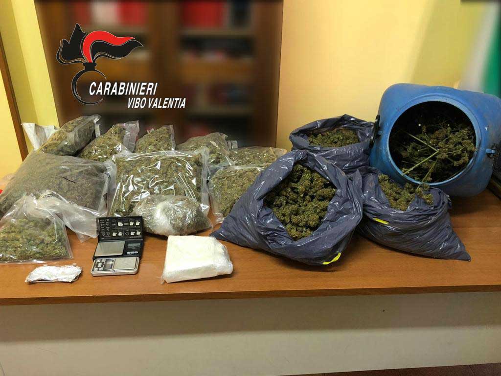 Scoperte piantagioni di droga, sequestrata anche cocaina e marijuana: 4 arresti nel vibonese - VIDEO