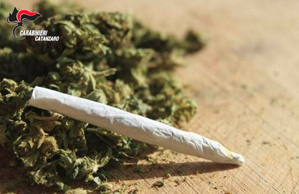 Controlli antidroga nelle zone montane del Reventino, segnalati anche due minori