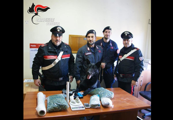 Nascondeva droga in gabbia degli uccelli e tombino, arrestato 29enne nel cosentino 