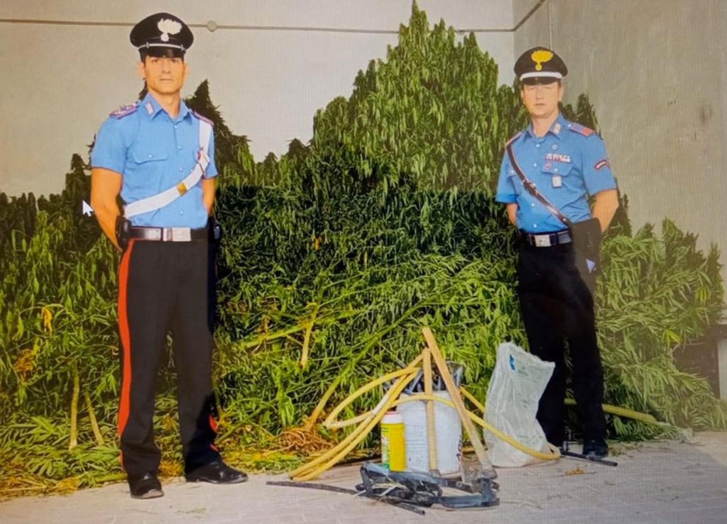 Piantagione di droga a conduzione familiare, 3 misure nel Crotonese