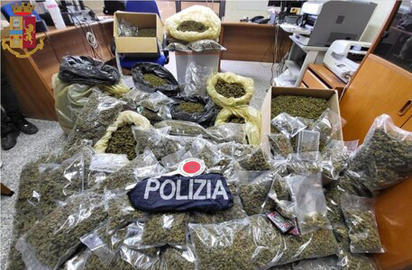 Deteneva in casa 51 kg di marijuana, un arresto nel Vibonese