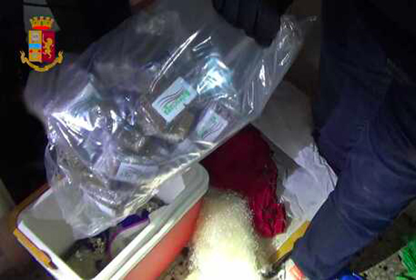 Nascondeva 5 chili di hascisc in un frigo-box da campeggio, arrestata donna a Cosenza