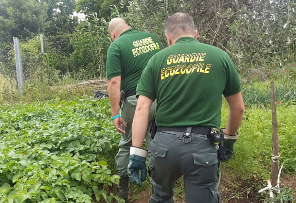 Lamezia, report controllo sul territorio da parte delle Guardie Ambientali di Fare Ambiente