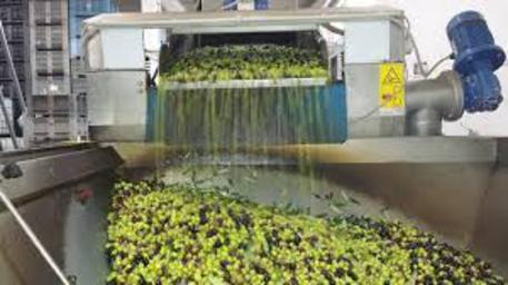 Sequestrati due frantoi nel reggino, inquinavano fiume