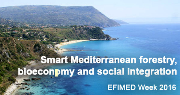 Dal 7 al 9 novembre al via Efimed Week 2016 a Maierato