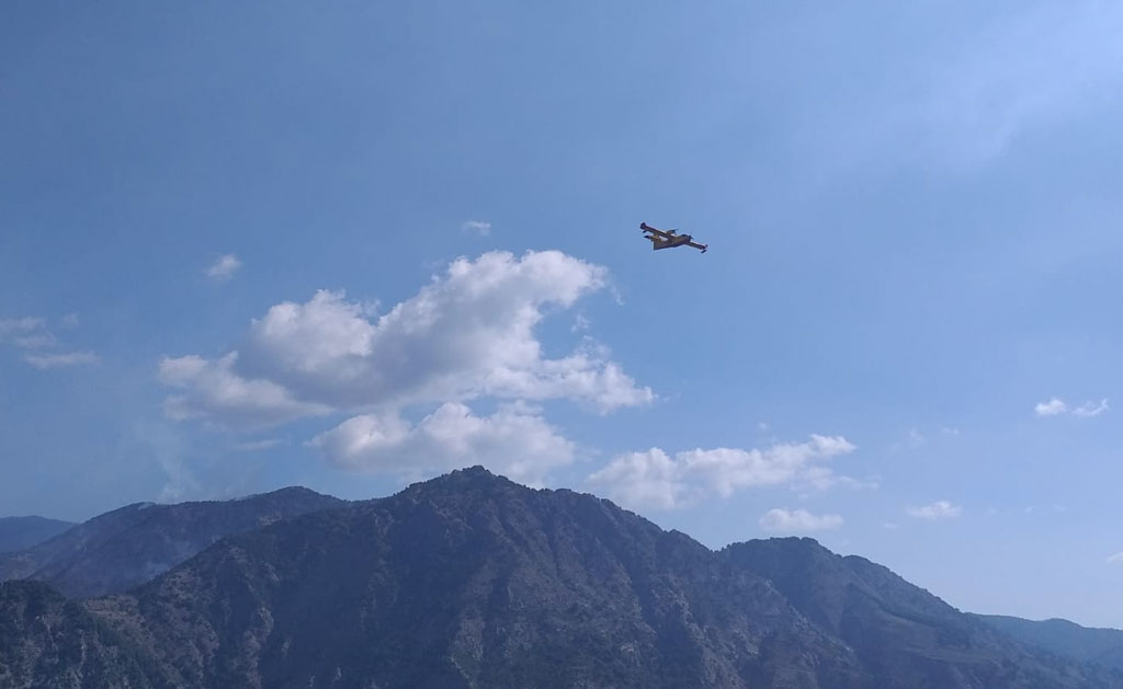 Oltre cento incendi al giorno, Calabria Verde si appella alla collaborazione dei cittadini