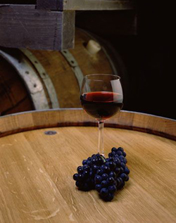 Lamezia, scippata la sede dell’enoteca e l’olioteca regionale