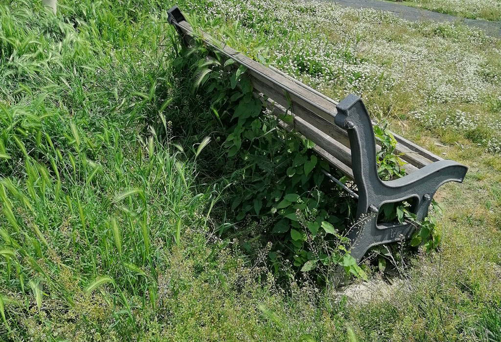 erba-parco112529_f3009.jpg