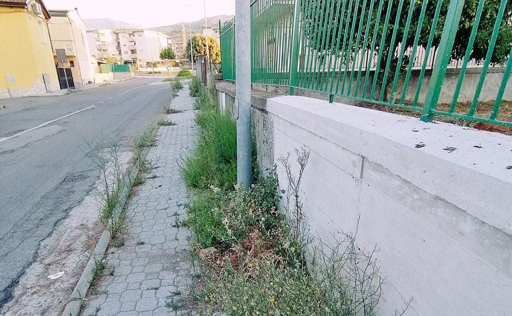 Lamezia, associazione quartiere 'Capizzaglie': "Strade e marciapiedi invasi da erbacce, comune intervenga"