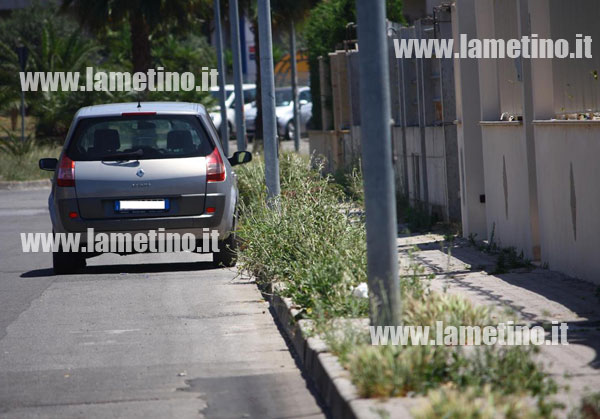 Lamezia: Dove c’erano alberi, ora crescono erbacce