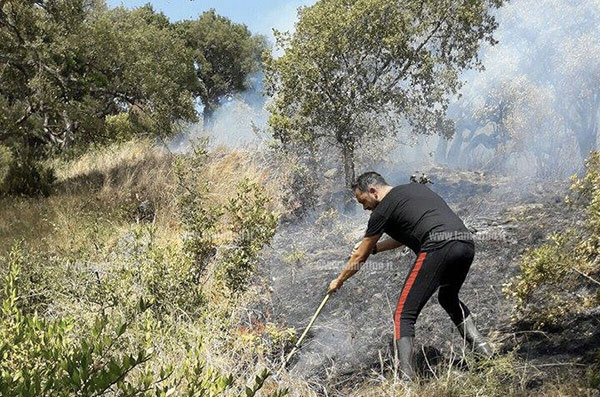 Incendio a Falerna, intervengono carabinieri e fanno sgomberare casa famiglia