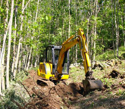 Calabria: Realizza pista abusiva su area demaniale sottoposta a vincolo, denunciato