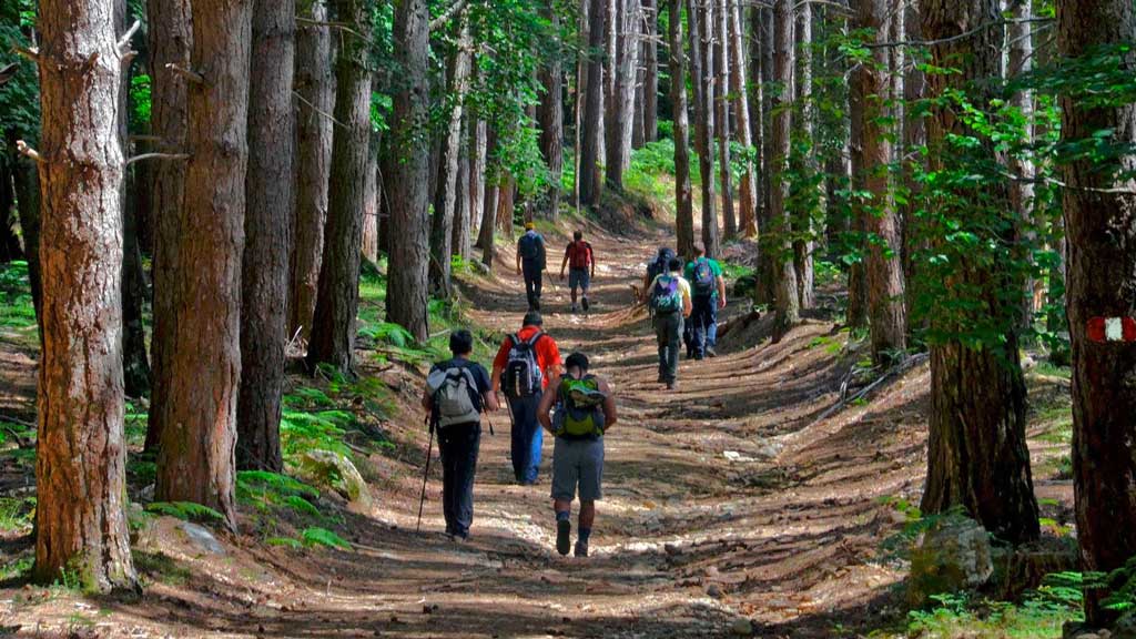 Valorizzazione "Sentiero del Brigante", Parco Aspromonte e Gea siglano un protocollo