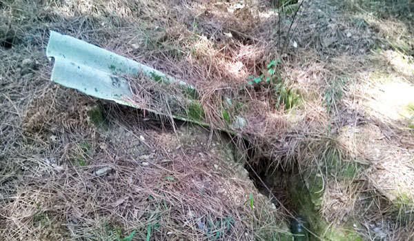 Lamezia: rifiuti parco Dossi Comuni, Forza Nuova ringrazia Agepa ma chiede tempi bonifica
