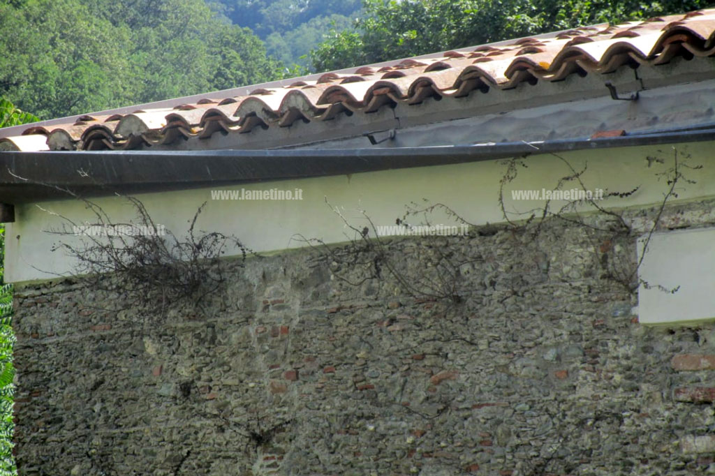 ex-mulino-di-San-Teodoro-bruno-lamezia-20202.jpg