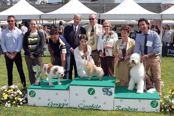 Uno spitz nano è il cucciolo dell'anno, scelto a Rende tra 30 razze 