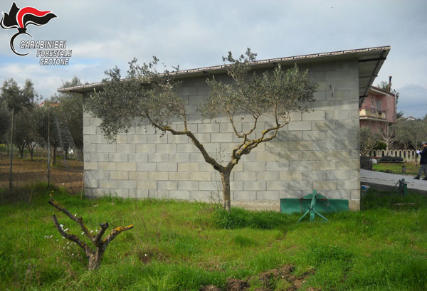 fabbricato-abusivo1.jpg