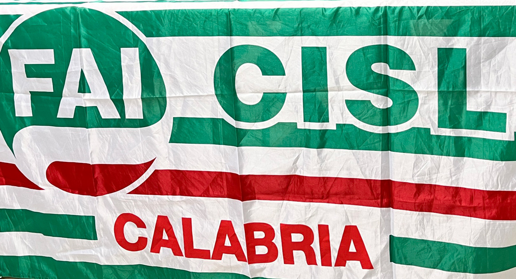 fai-cisl-calabria_85294.jpg