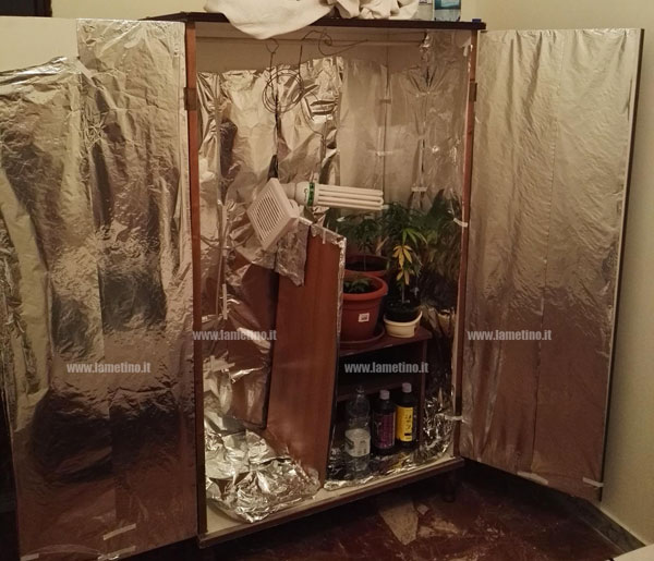 Coltivava marijuana in armadio, arrestato 21enne a Falerna