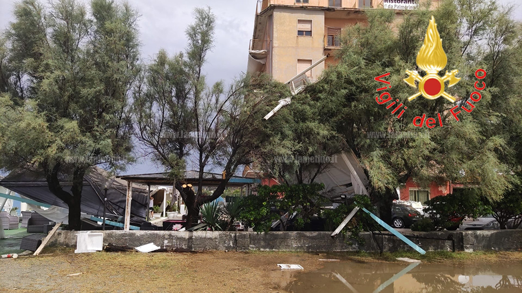 falerna-temporaled8dfdd8_19c09.jpg