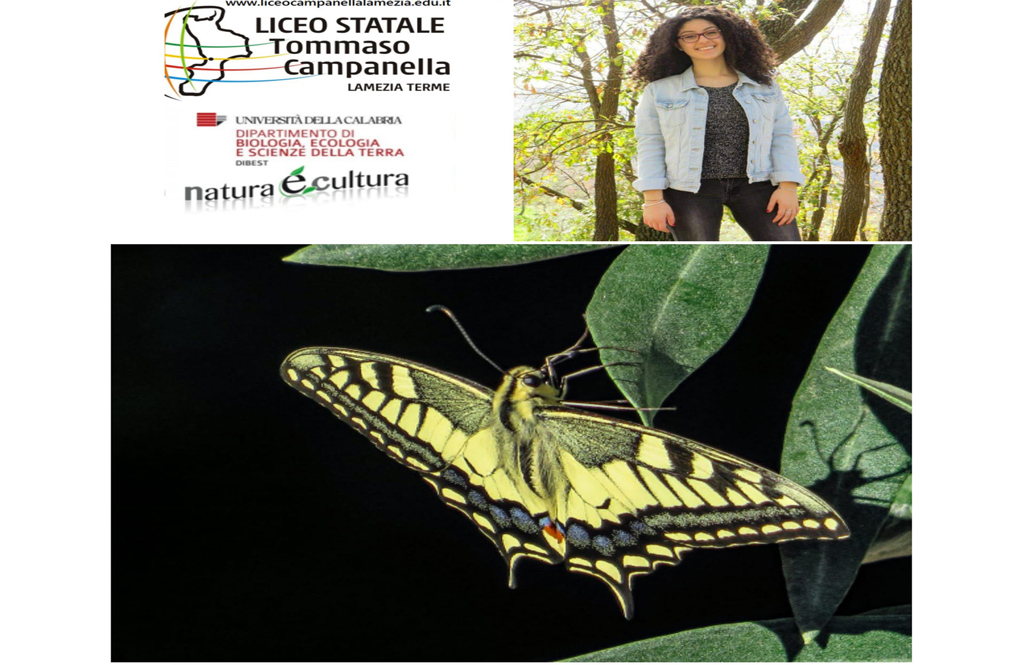 Lamezia, terzo premio al Concorso “Natura è Cultura: gli studenti fotografano la natura” per allieva del liceo Campanella