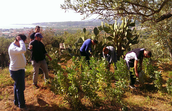 Asp, concluso il progetto “Giovani in campagna” del Csm di Soverato