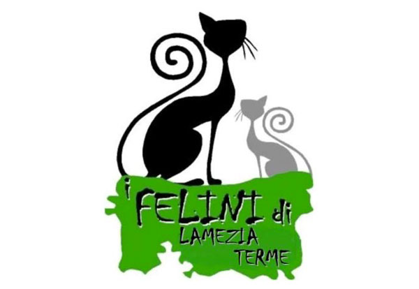 felini-lamezia_53cb7.jpg