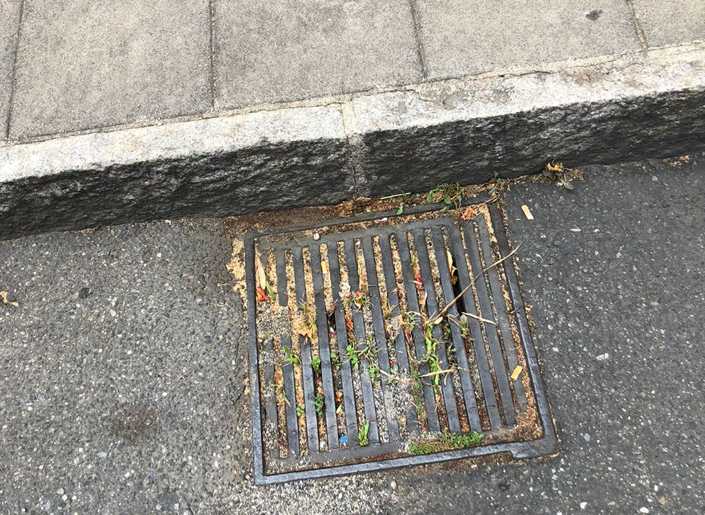 Lamezia, Muraca (Patto Sociale): “Strade e caditoie nell’incuria, pericolo con la pioggia”