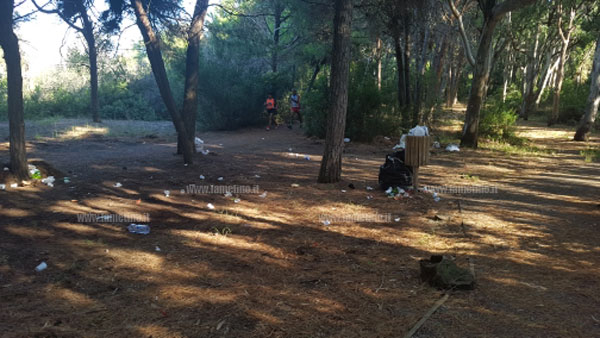 ferragosto_pineta_sporca_1.jpg
