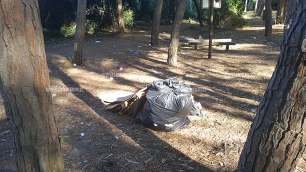 ferragosto_pineta_sporca_12.jpg