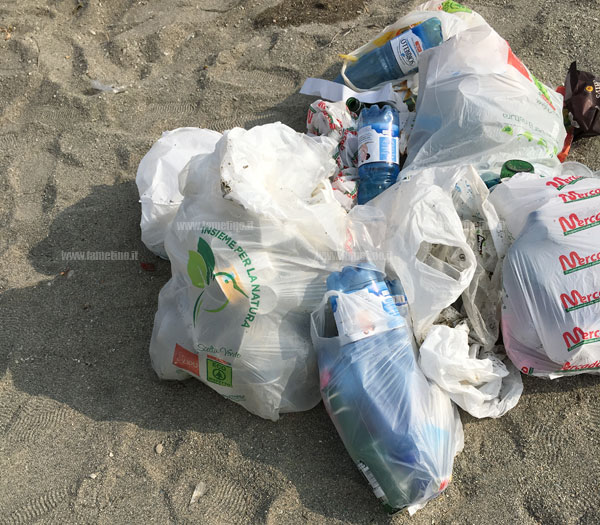 ferragosto_pineta_sporca_3.jpg