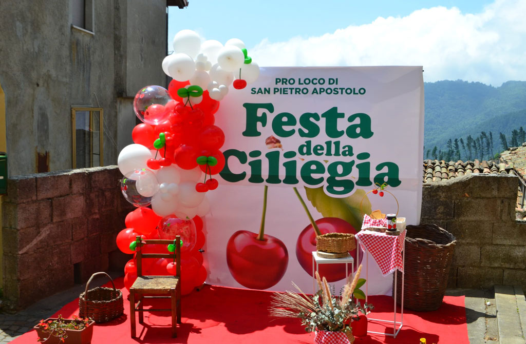 festa-WhatsApp-2025-06-19-ore-22.48.34_08d97199_144de.jpg