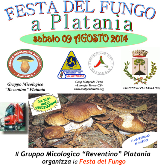 festa-del-fungo-platania.jpg