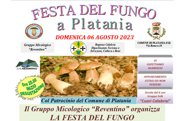 festa-del-fungo_f7d09.jpg