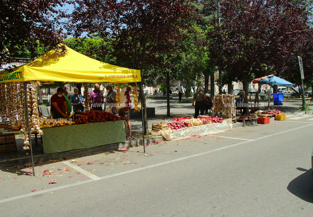 festa-della-cipolla_39d3d.jpg
