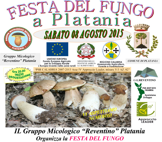 Festa del fungo sabato 8 agosto a Platania