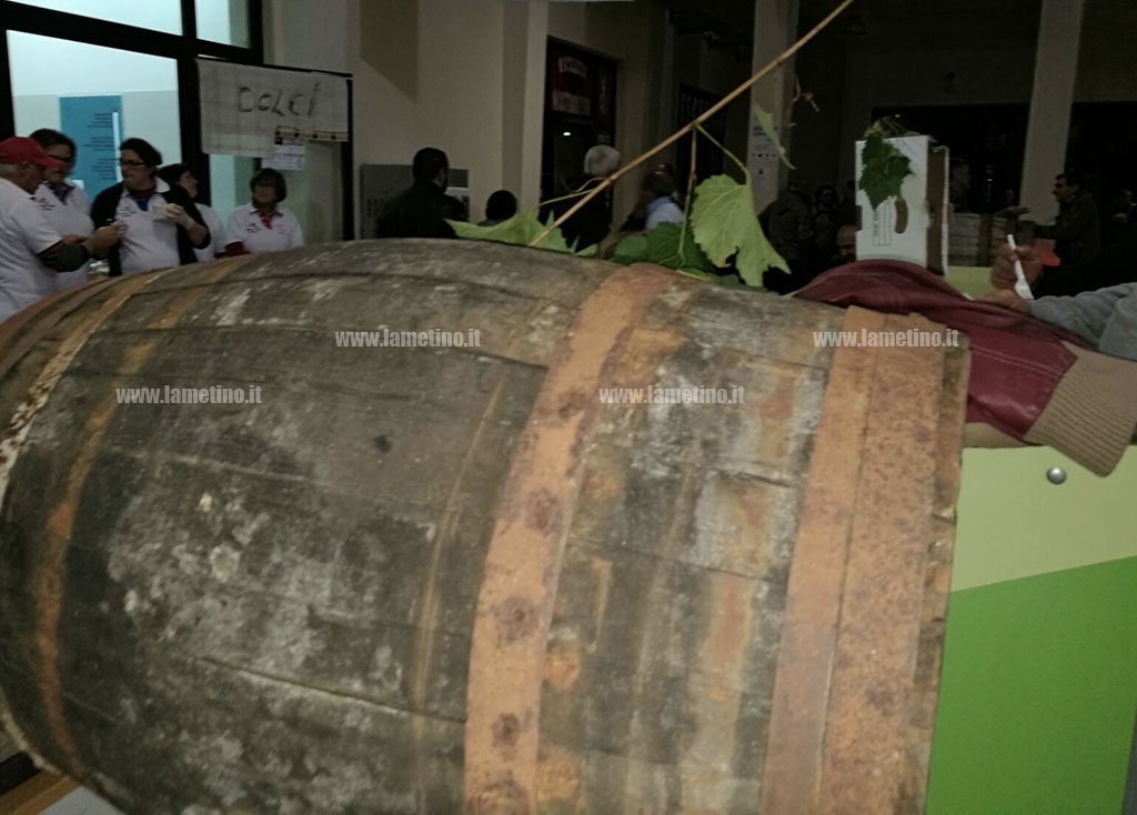 festa-vino10.jpg