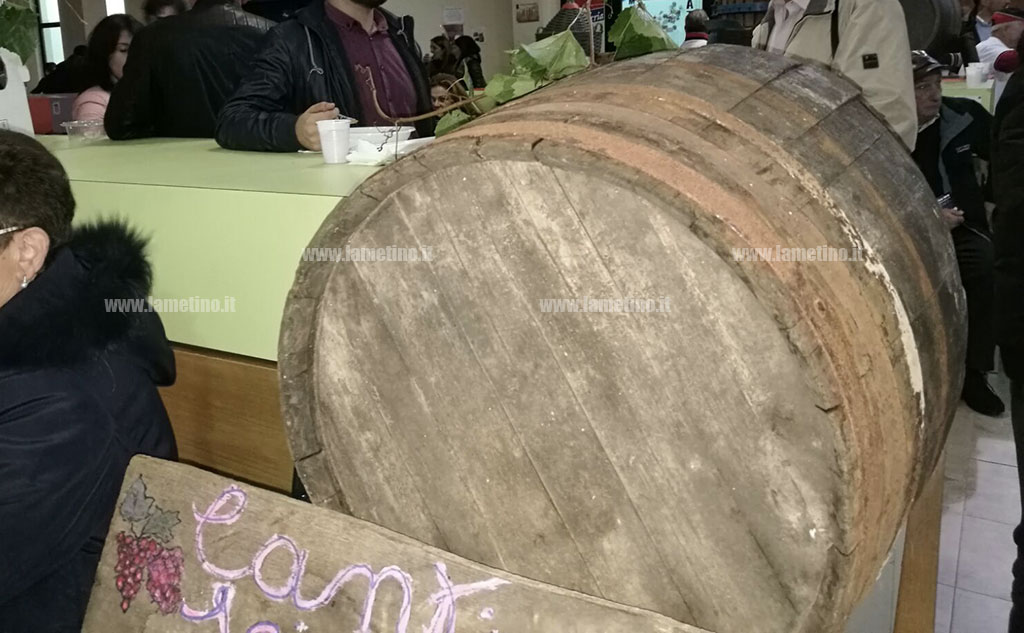 festa-vino8.jpg