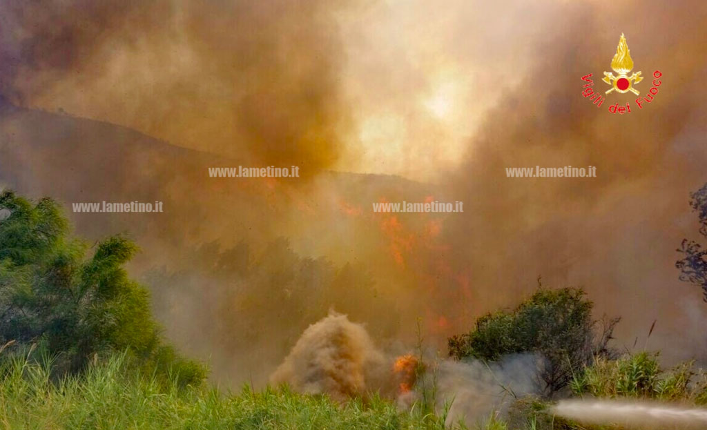 fiamme-bosco.jpg
