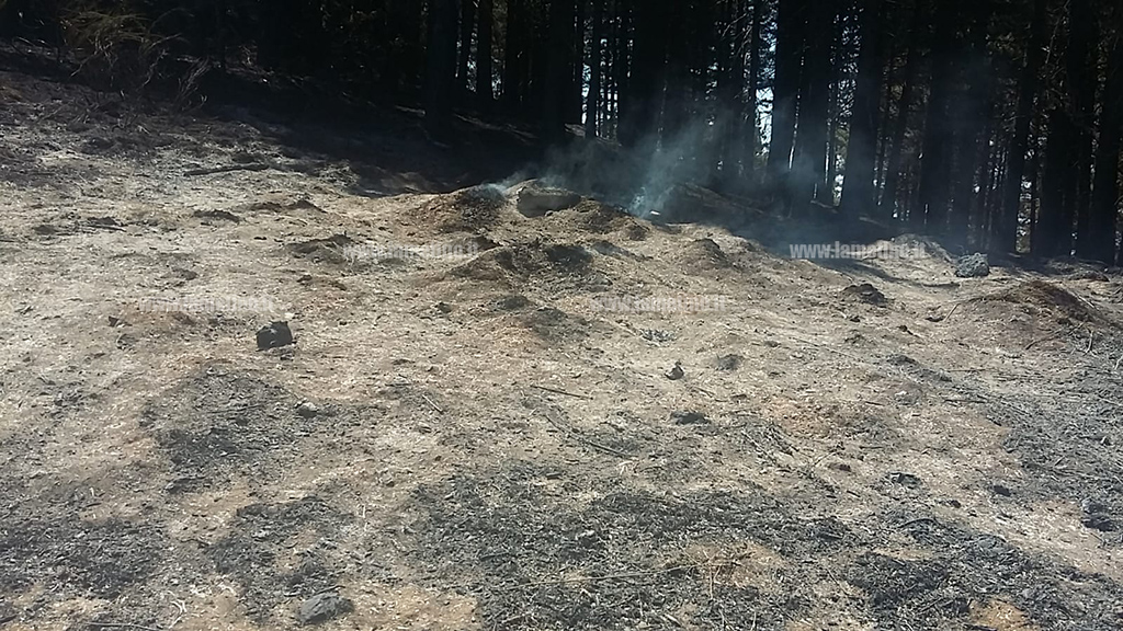 fiamme-cenere-reventino-2021_1c850.jpg