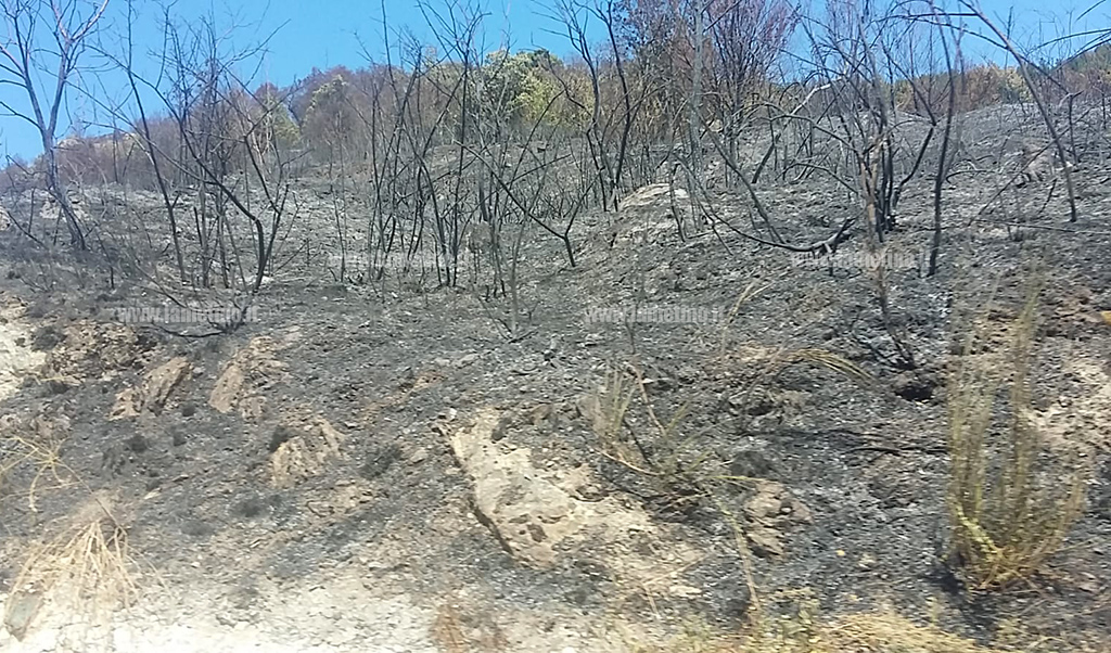 fiamme-reventino2_c8bec.jpg