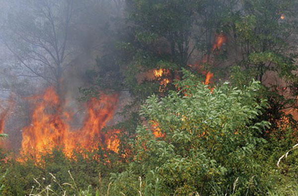 Roghi, da Cdm ok a decreto incendi e inasprite le pene 